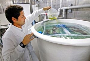 Logo Ingeniería en Acuicultura 